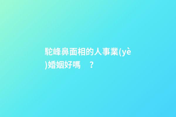駝峰鼻面相的人事業(yè)婚姻好嗎？